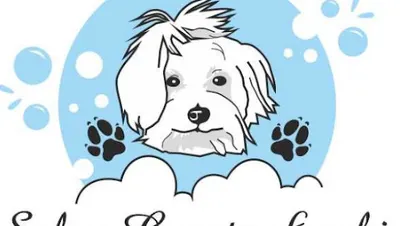 Salon Czyste Łapki - strzyżenie i pielęgnacja zwierząt